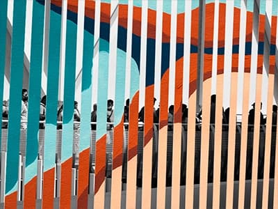 Imagen de Raíces en tránsito